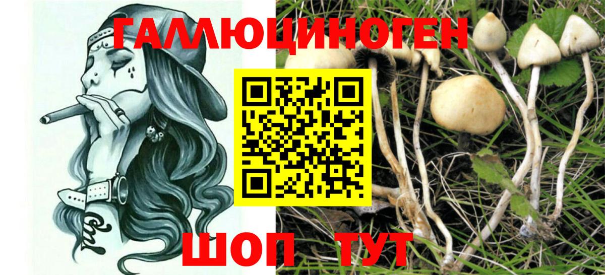 Галлюциногенные грибы Cubensis  Вход с VPN  Артём 